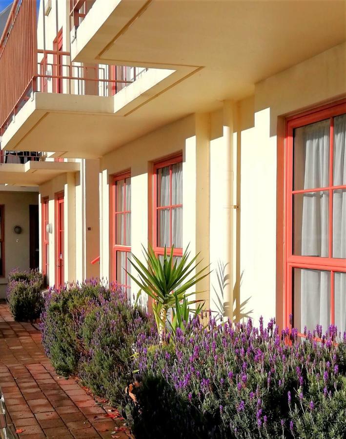 Addington Stadium Motel Christchurch Exterior foto